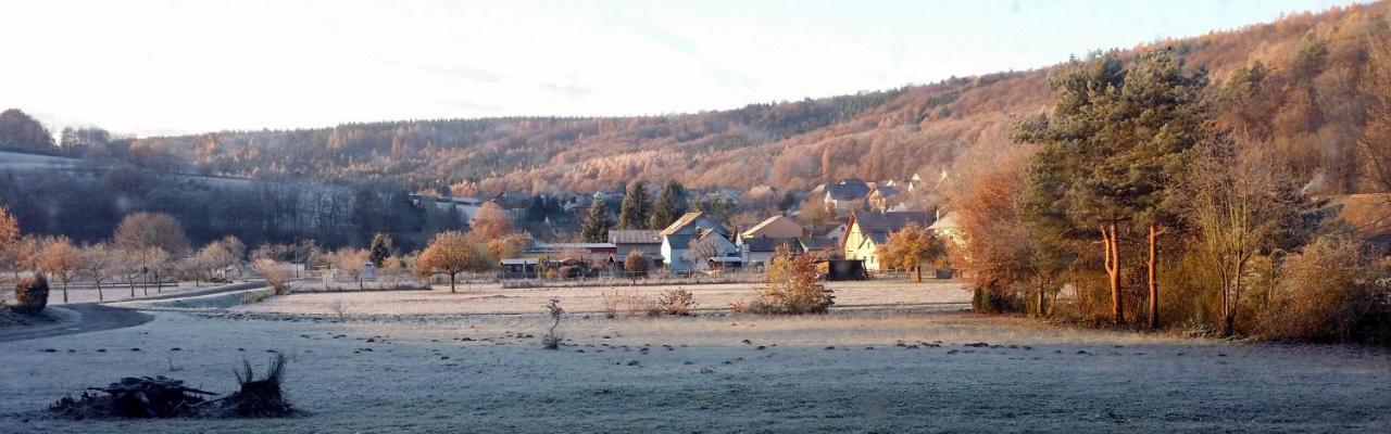 Landgasthof Zum Hirschen Hafenlohr Exteriör bild